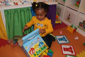 Quinn Getting Ready to Sort