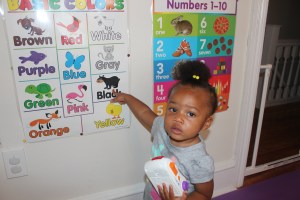 Quinn Pointing at the Black Bear