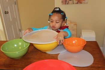 Quinn Sorting Bowls