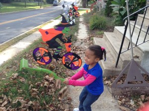 Quinn Loves Raking Leaves
