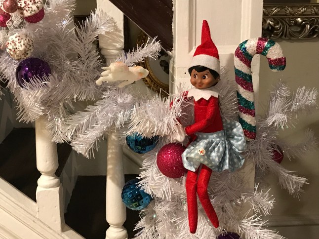 D40ED47C-7E2B-4455-90BA-ACA1DAEB8D59